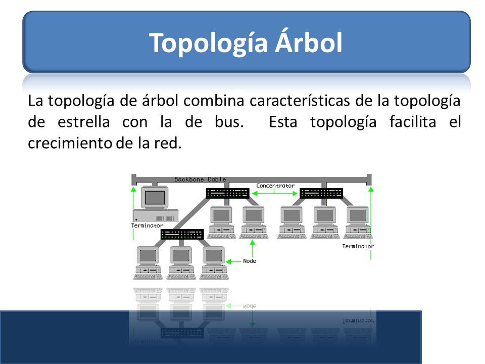 Topología Árbol