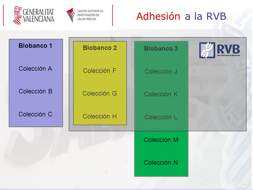 Adhesión a la RVB Biobanco 1 Biobanco 2 Biobanco 3 Colección A