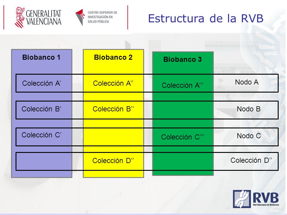Estructura de la RVB Biobanco 1 Colección A’ Colección B’ Colección C’