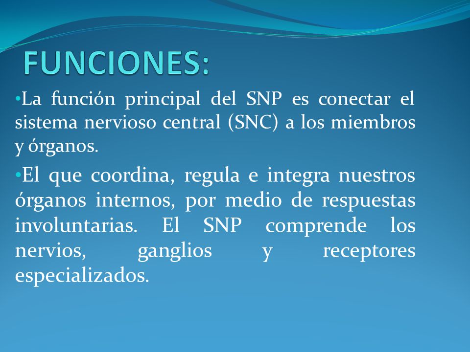 FUNCIONES: La función principal del SNP es conectar el sistema nervioso central (SNC) a los miembros y órganos.