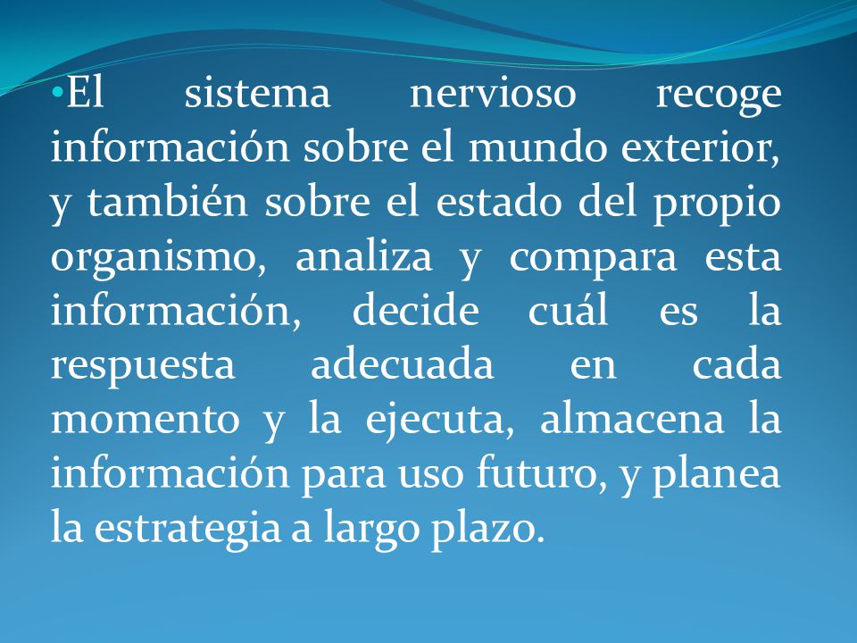 El sistema nervioso recoge información sobre el mundo exterior, y también sobre el estado del propio organismo, analiza y compara esta información, decide cuál es la respuesta adecuada en cada momento y la ejecuta, almacena la información para uso futuro, y planea la estrategia a largo plazo.