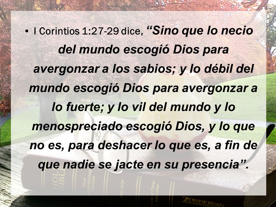Mujeres De La Biblia En El Liderazgo Ppt Descargar