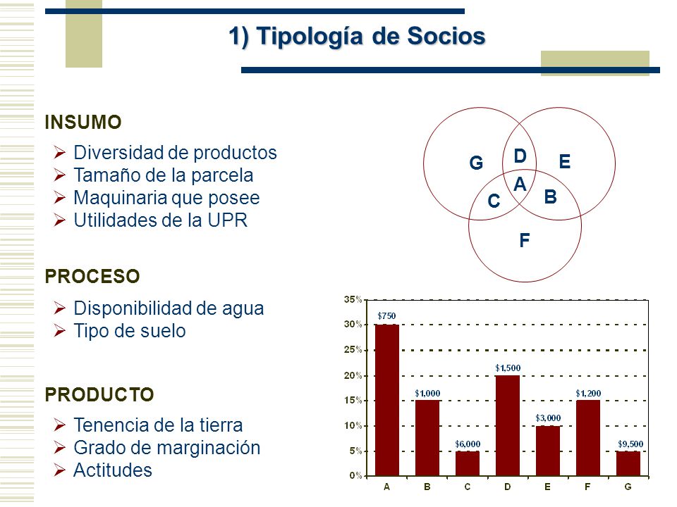 1) Tipología de Socios INSUMO G C D A E F B Diversidad de productos