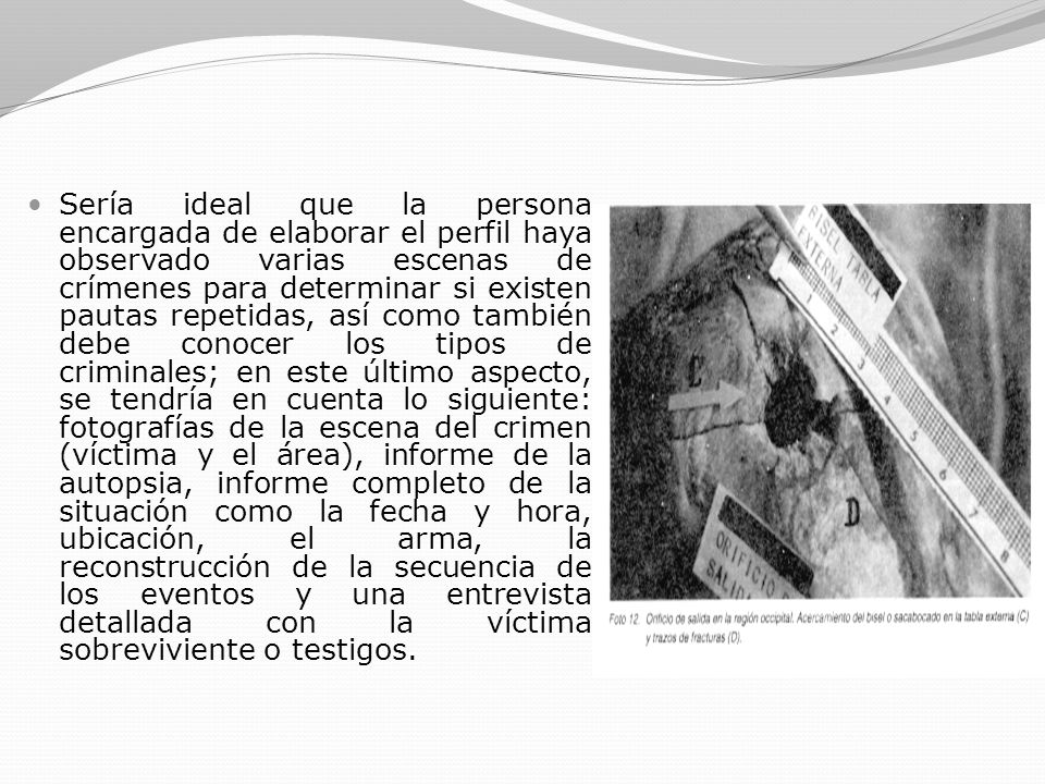 Sería ideal que la persona encargada de elaborar el perfil haya observado varias escenas de crímenes para determinar si existen pautas repetidas, así como también debe conocer los tipos de criminales; en este último aspecto, se tendría en cuenta lo siguiente: fotografías de la escena del crimen (víctima y el área), informe de la autopsia, informe completo de la situación como la fecha y hora, ubicación, el arma, la reconstrucción de la secuencia de los eventos y una entrevista detallada con la víctima sobreviviente o testigos.