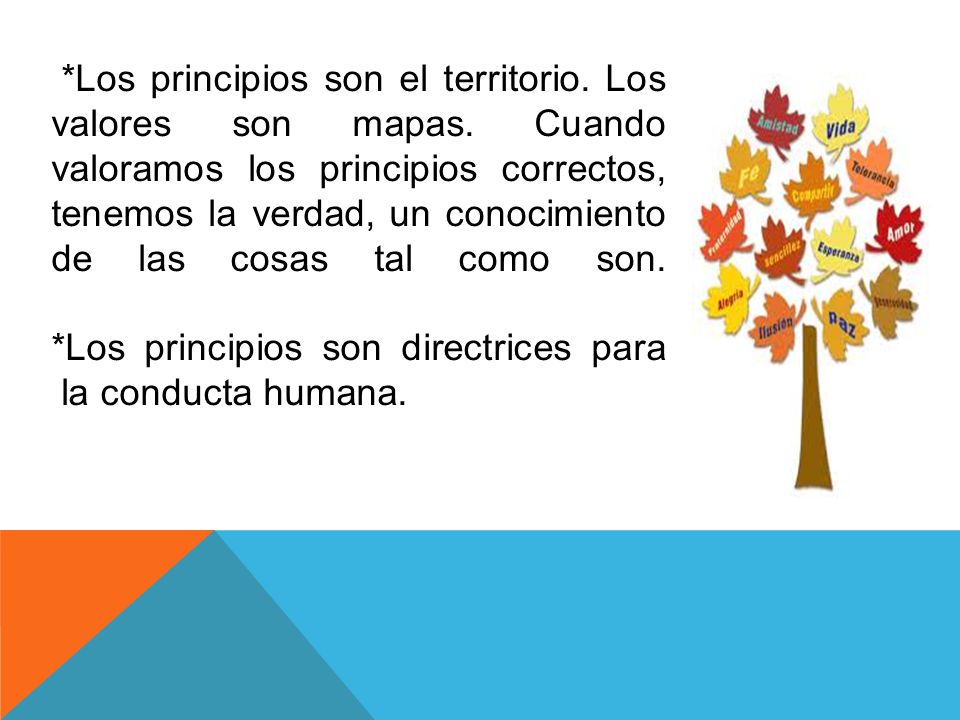 Los principios son el territorio. Los valores son mapas