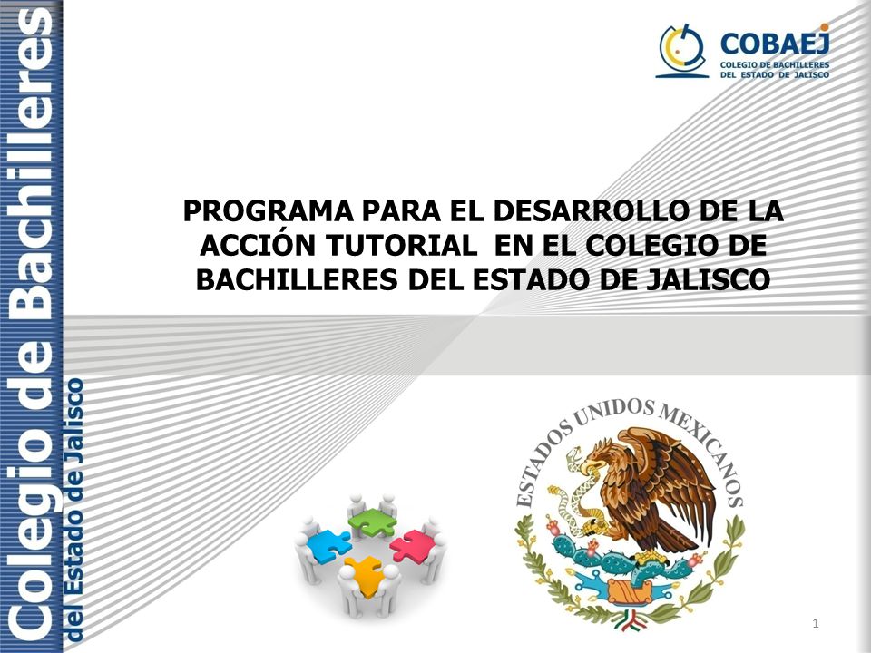 PROGRAMA PARA EL DESARROLLO DE LA ACCIÓN TUTORIAL EN EL COLEGIO DE BACHILLERES DEL ESTADO DE JALISCO