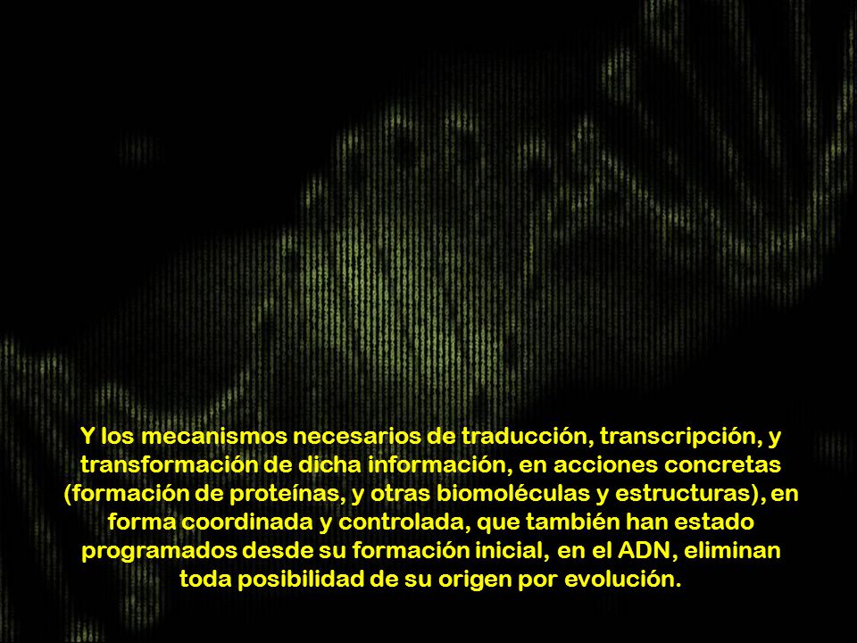 Y los mecanismos necesarios de traducción, transcripción, y transformación de dicha información, en acciones concretas (formación de proteínas, y otras biomoléculas y estructuras), en forma coordinada y controlada, que también han estado programados desde su formación inicial, en el ADN, eliminan toda posibilidad de su origen por evolución.