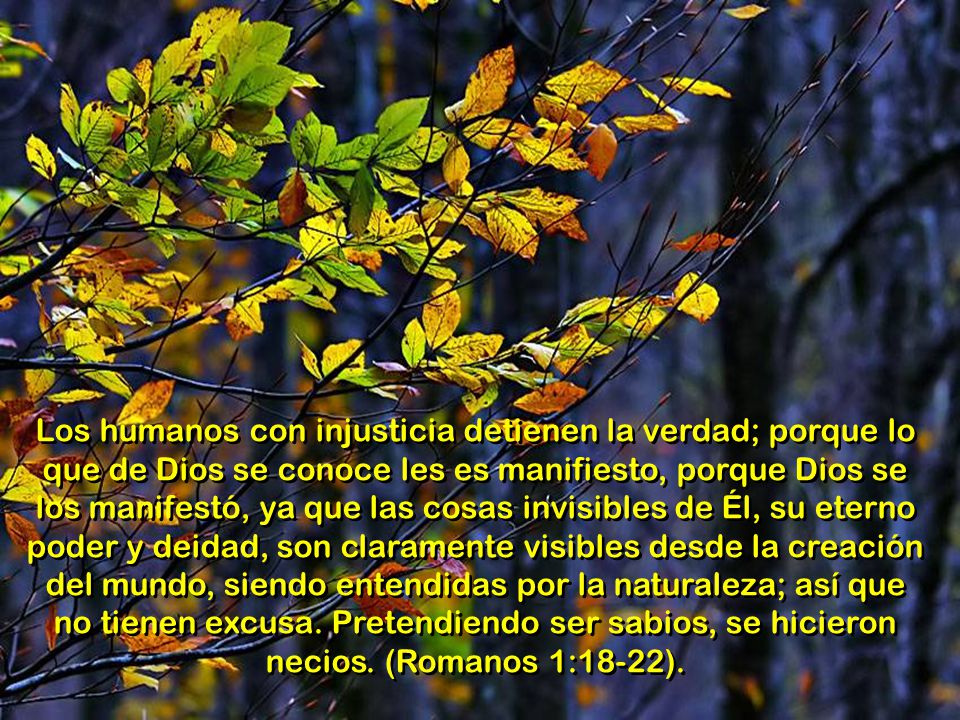 Los humanos con injusticia detienen la verdad; porque lo que de Dios se conoce les es manifiesto, porque Dios se los manifestó, ya que las cosas invisibles de Él, su eterno poder y deidad, son claramente visibles desde la creación del mundo, siendo entendidas por la naturaleza; así que no tienen excusa.