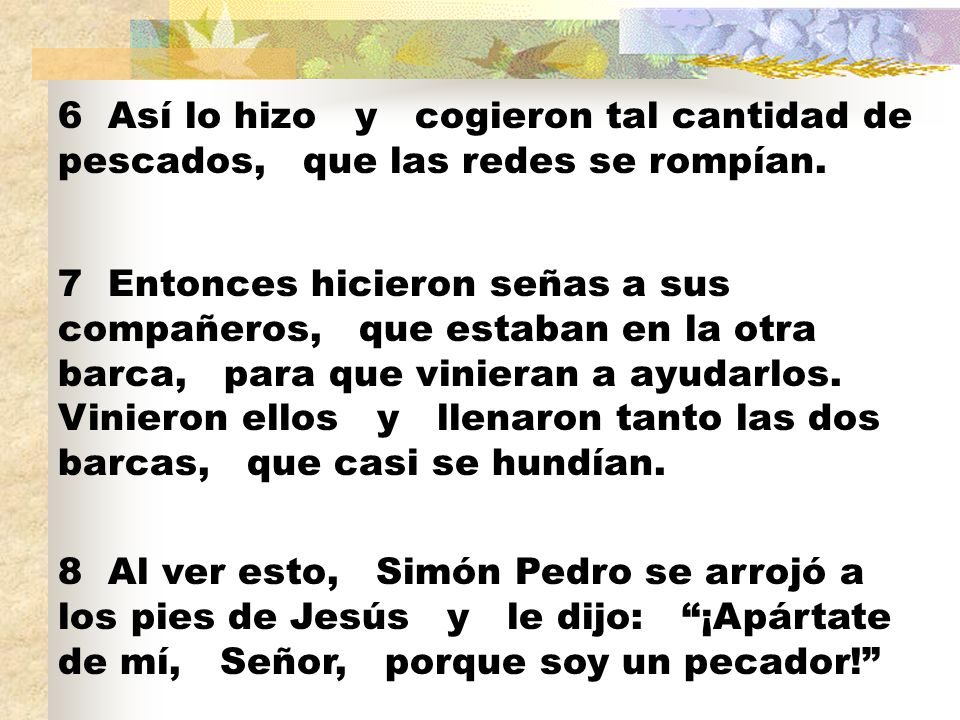 6 Así lo hizo y cogieron tal cantidad de pescados, que las redes se rompían.