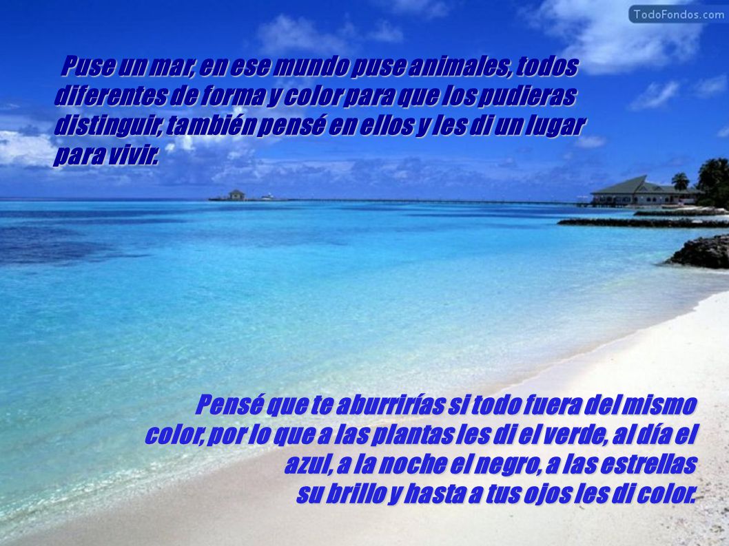 Puse un mar, en ese mundo puse animales, todos diferentes de forma y color para que los pudieras distinguir, también pensé en ellos y les di un lugar para vivir.