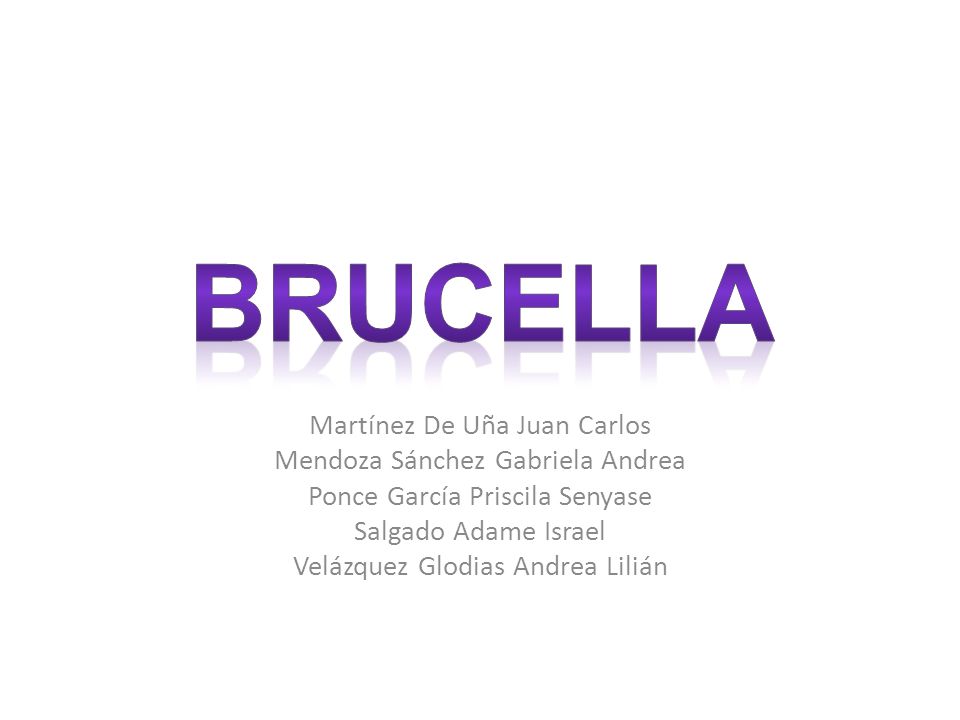 Brucella Martínez De Uña Juan Carlos Mendoza Sánchez Gabriela Andrea