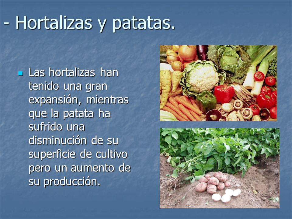 - Hortalizas y patatas.