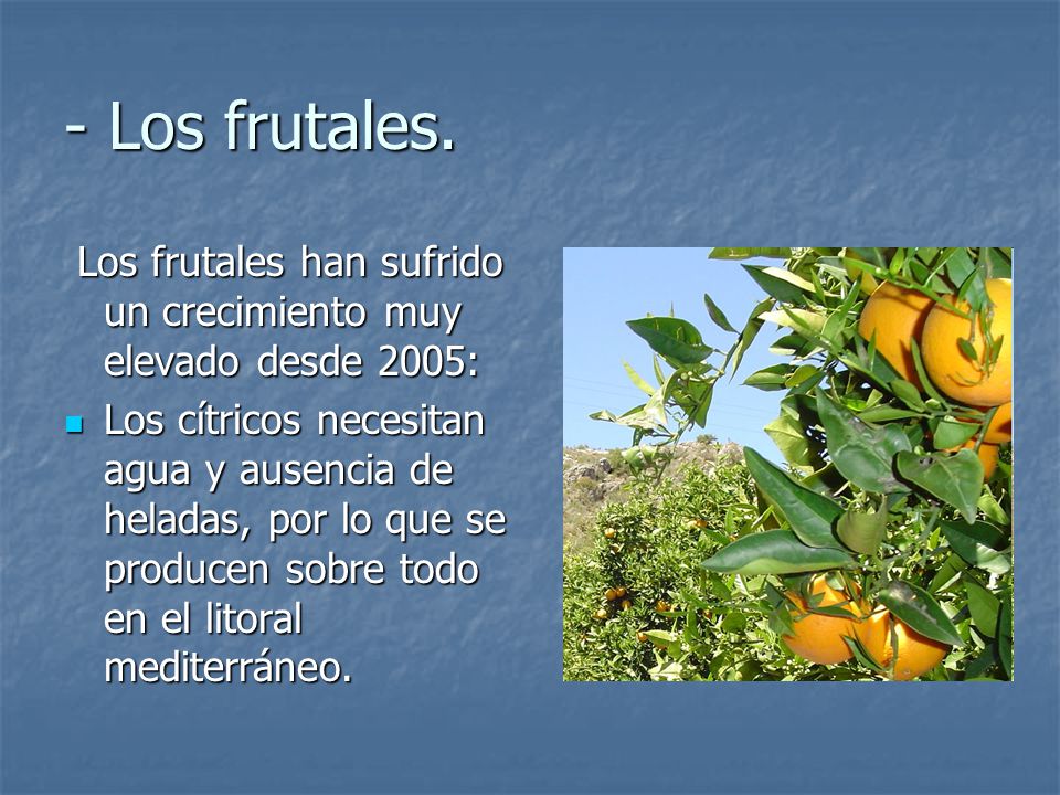 - Los frutales. Los frutales han sufrido un crecimiento muy elevado desde 2005: