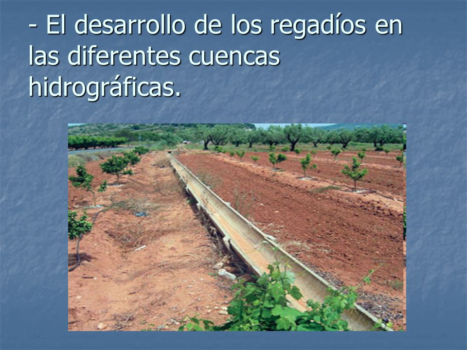 - El desarrollo de los regadíos en las diferentes cuencas hidrográficas.