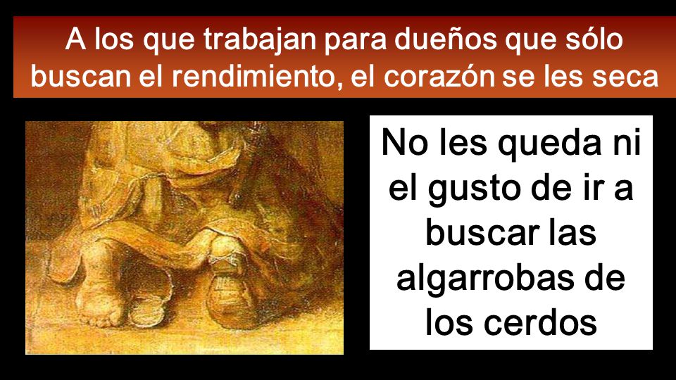 No les queda ni el gusto de ir a buscar las algarrobas de los cerdos