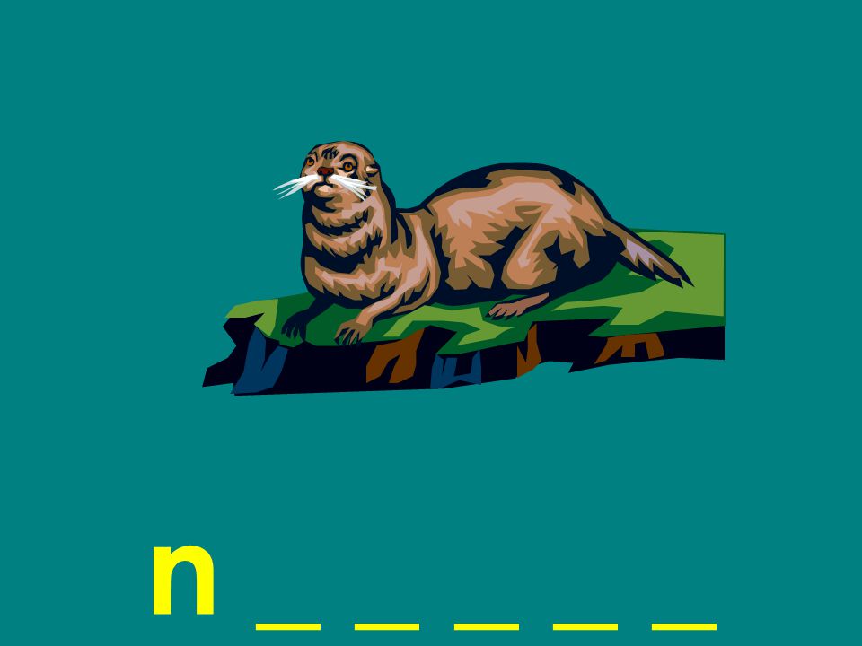 n _ _ _ _ _