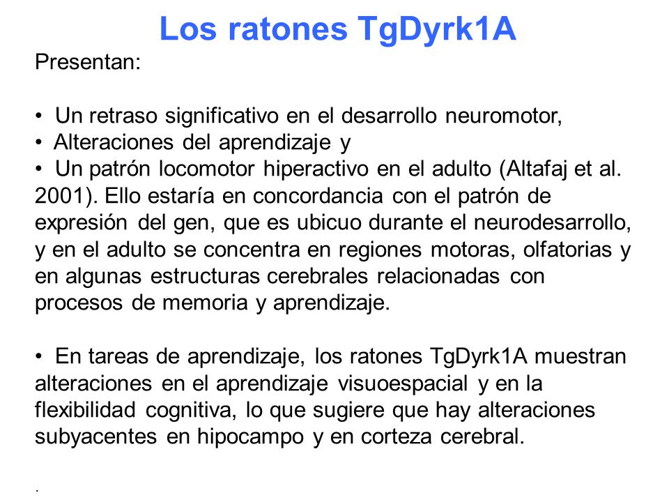 Los ratones TgDyrk1A Presentan: