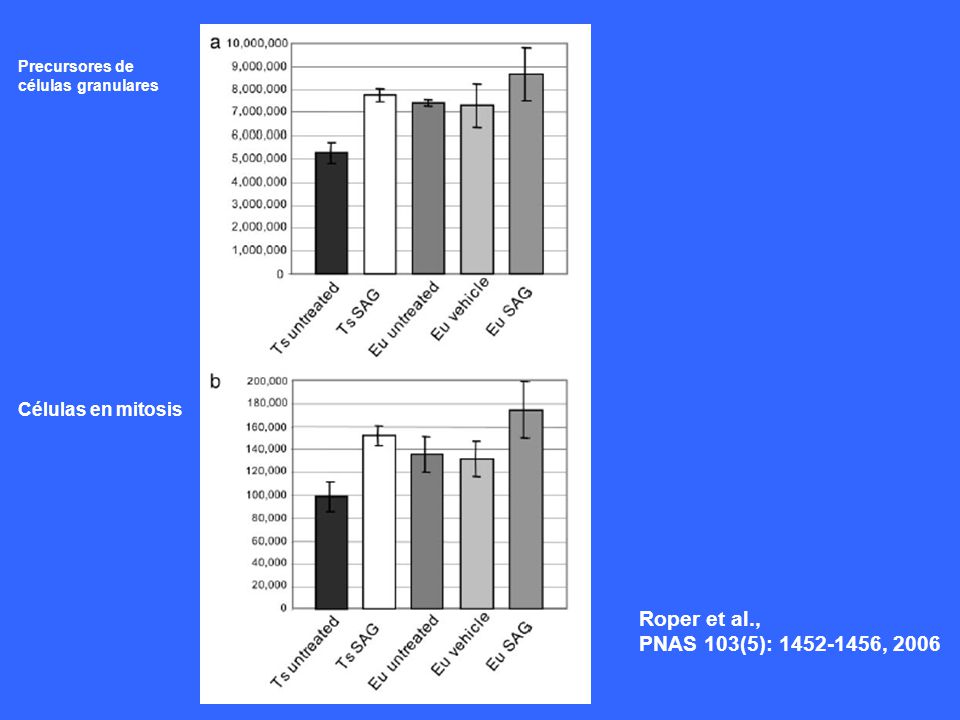 Roper et al., PNAS 103(5): , 2006 Células en mitosis