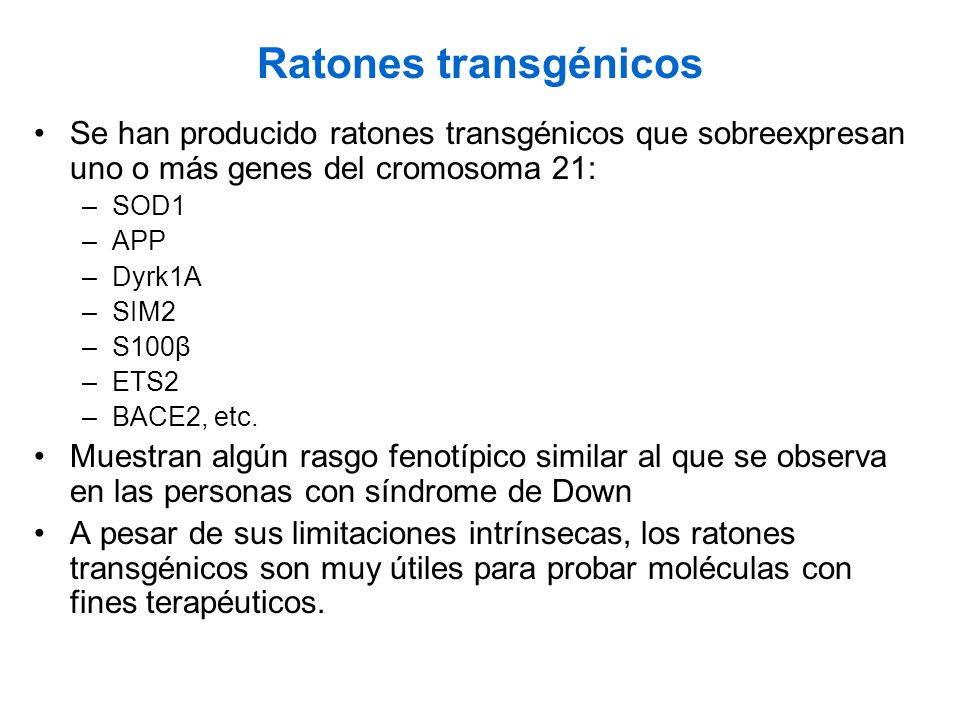 Ratones transgénicos Se han producido ratones transgénicos que sobreexpresan uno o más genes del cromosoma 21: