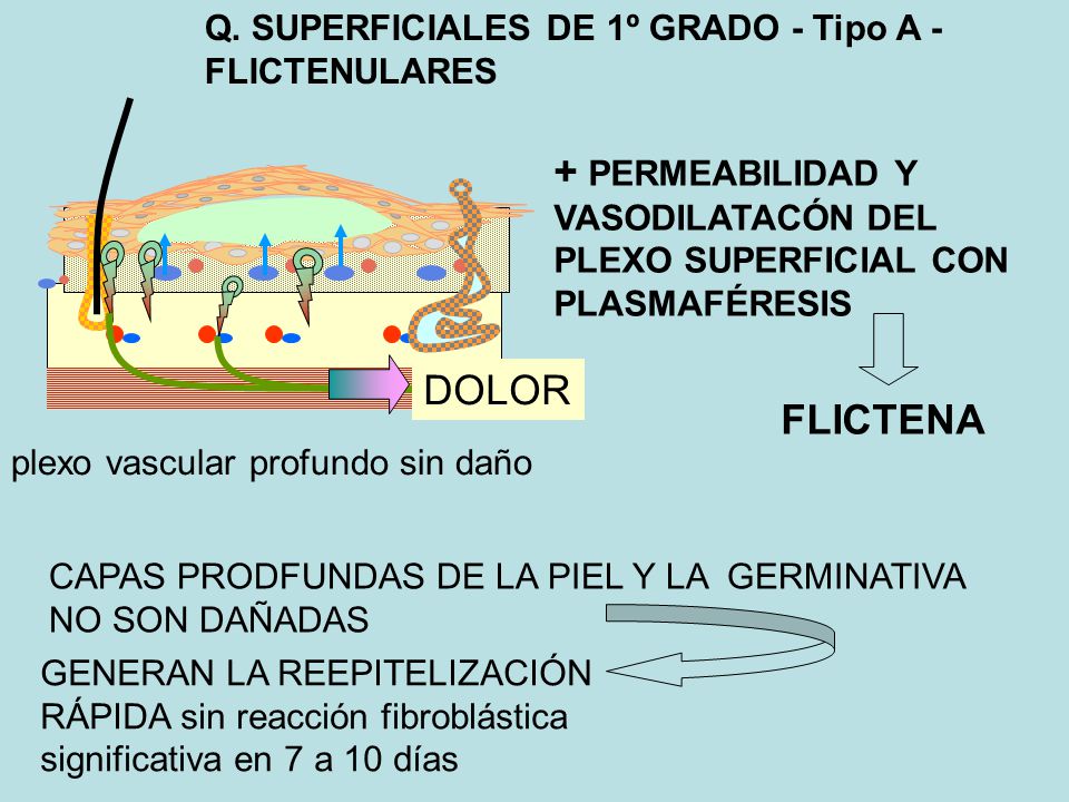 Q. SUPERFICIALES DE 1º GRADO - Tipo A - FLICTENULARES