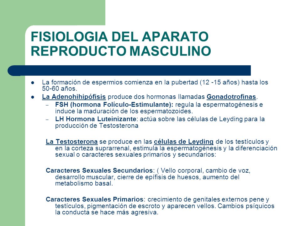 FISIOLOGIA DEL APARATO REPRODUCTO MASCULINO