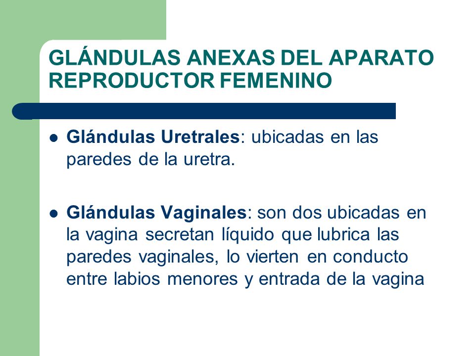 GLÁNDULAS ANEXAS DEL APARATO REPRODUCTOR FEMENINO