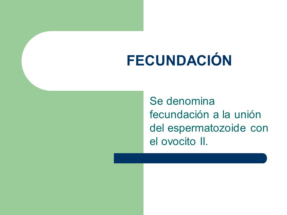 FECUNDACIÓN Se denomina fecundación a la unión del espermatozoide con el ovocito II.