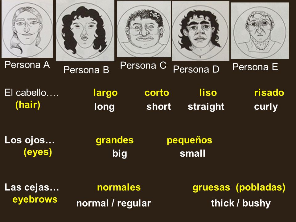 Persona A Persona C. Persona E. Persona B. Persona D. El cabello…. largo corto liso risado.