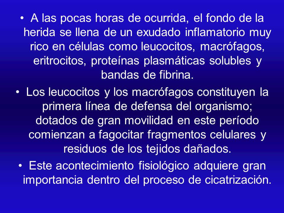 A las pocas horas de ocurrida, el fondo de la herida se llena de un exudado inflamatorio muy rico en células como leucocitos, macrófagos, eritrocitos, proteínas plasmáticas solubles y bandas de fibrina.