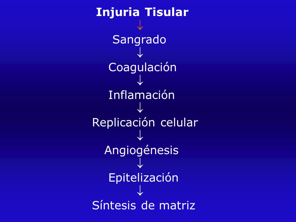 Injuria Tisular  Sangrado. Coagulación. Inflamación. Replicación celular. Angiogénesis. Epitelización.