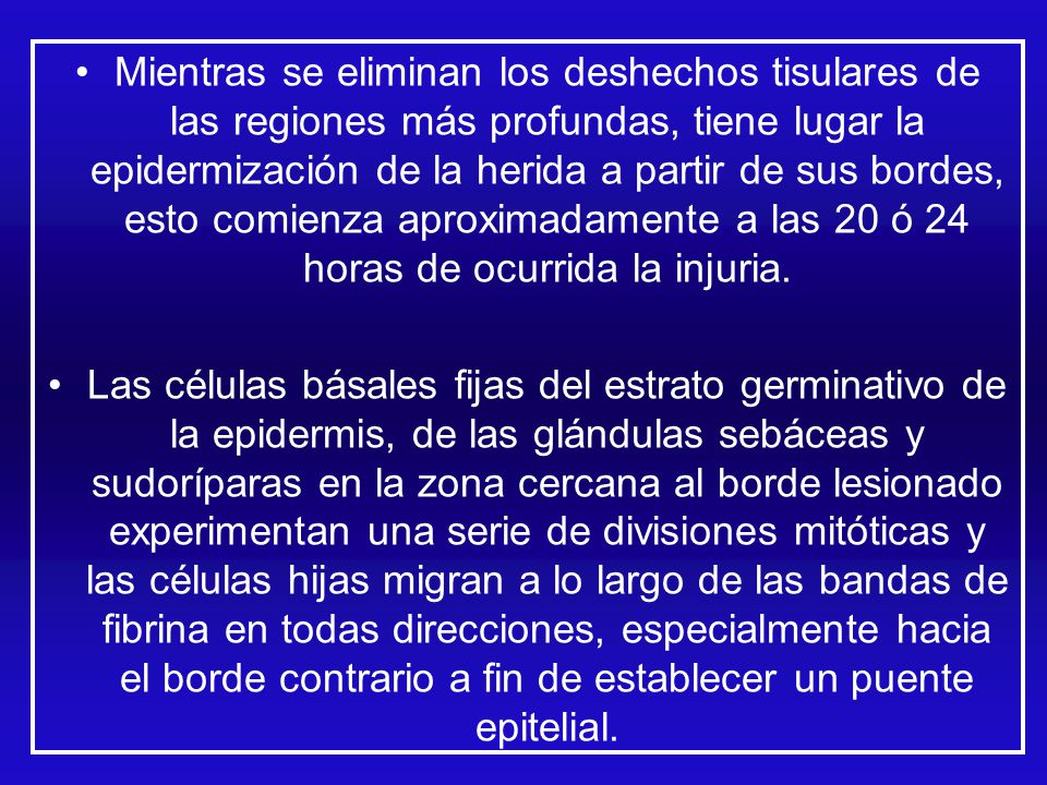 Mientras se eliminan los deshechos tisulares de las regiones más profundas, tiene lugar la epidermización de la herida a partir de sus bordes, esto comienza aproximadamente a las 20 ó 24 horas de ocurrida la injuria.