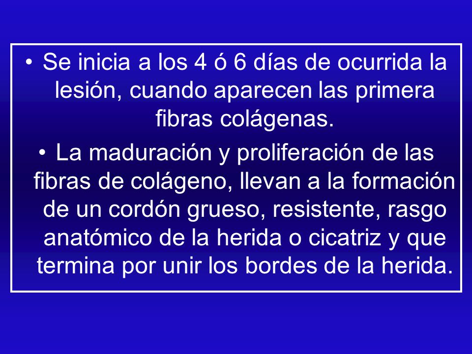Se inicia a los 4 ó 6 días de ocurrida la lesión, cuando aparecen las primera fibras colágenas.