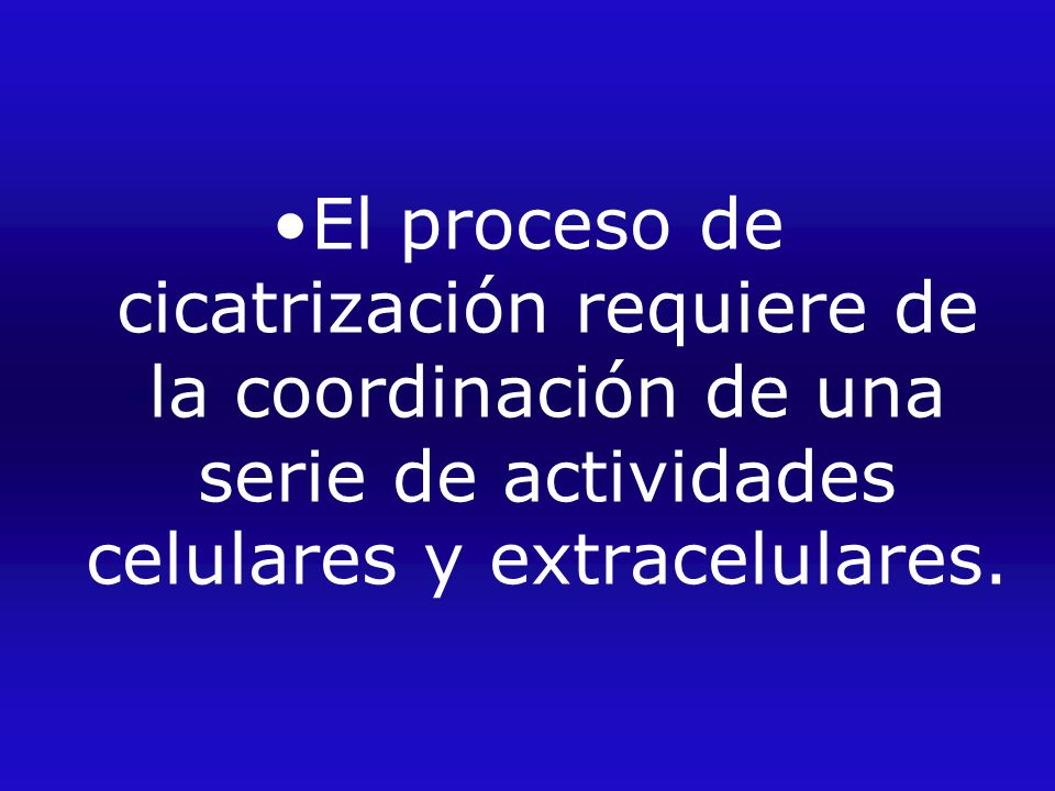 El proceso de cicatrización requiere de la coordinación de una serie de actividades celulares y extracelulares.