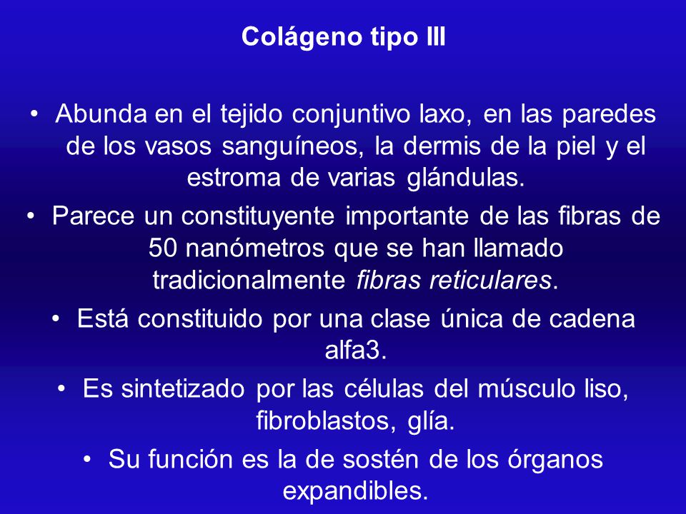 Está constituido por una clase única de cadena alfa3.