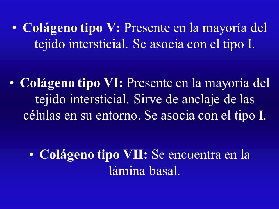 Colágeno tipo VII: Se encuentra en la lámina basal.