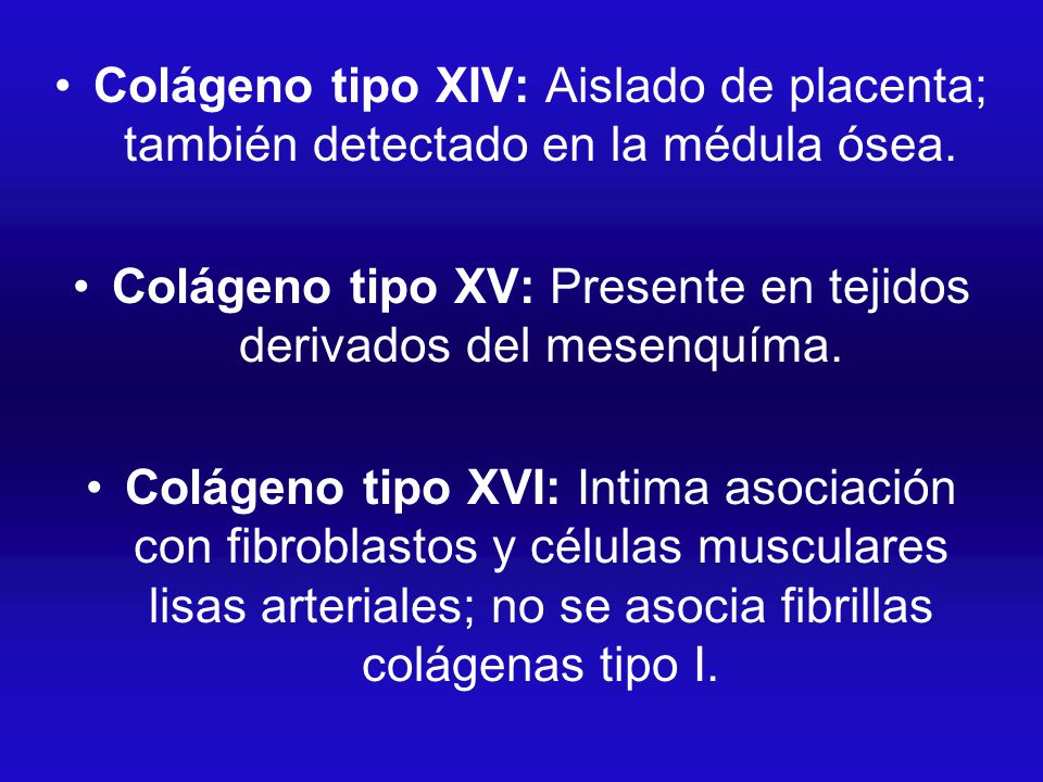 Colágeno tipo XV: Presente en tejidos derivados del mesenquíma.