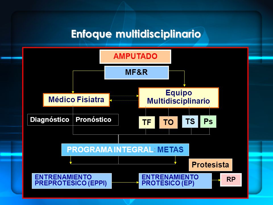 Equipo Multidisciplinario PROGRAMA INTEGRAL: METAS
