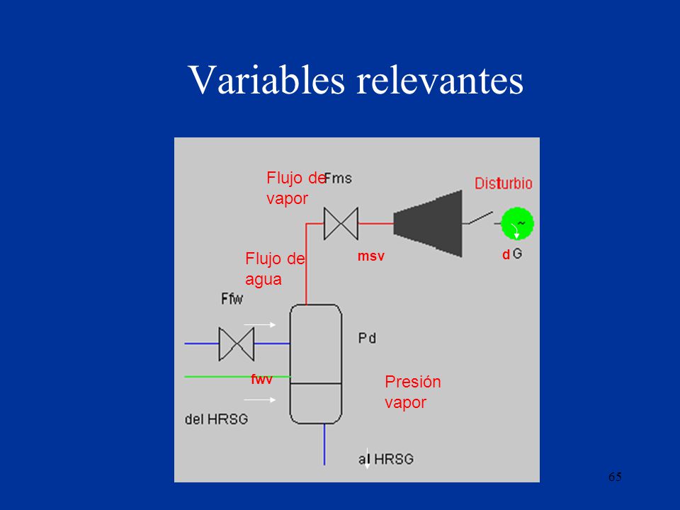Variables relevantes Flujo de vapor Flujo de agua Presión vapor msv d