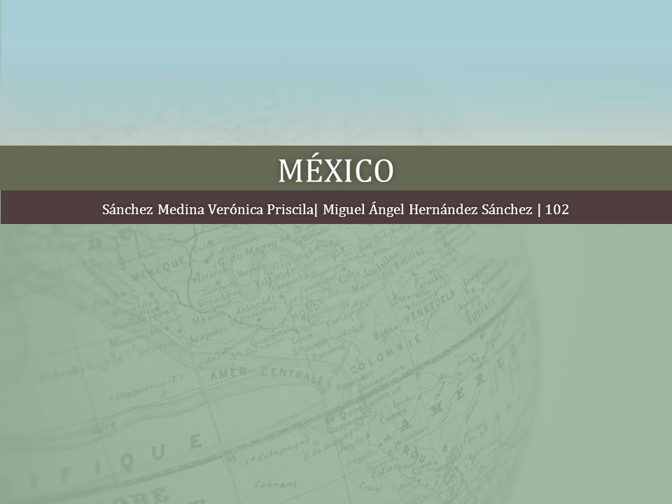Sánchez Medina Verónica Priscila| Miguel Ángel Hernández Sánchez | 102