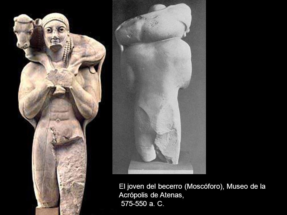 El joven del becerro (Moscóforo), Museo de la Acrópolis de Atenas,