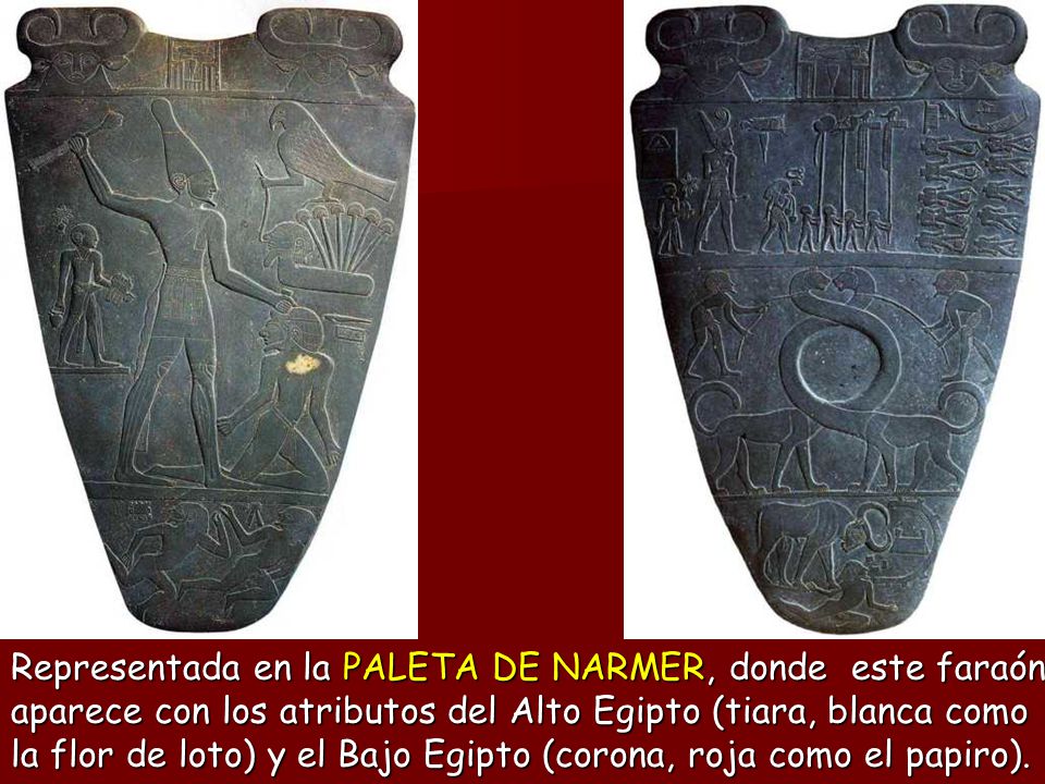 Representada en la PALETA DE NARMER, donde este faraón aparece con los atributos del Alto Egipto (tiara, blanca como la flor de loto) y el Bajo Egipto (corona, roja como el papiro).