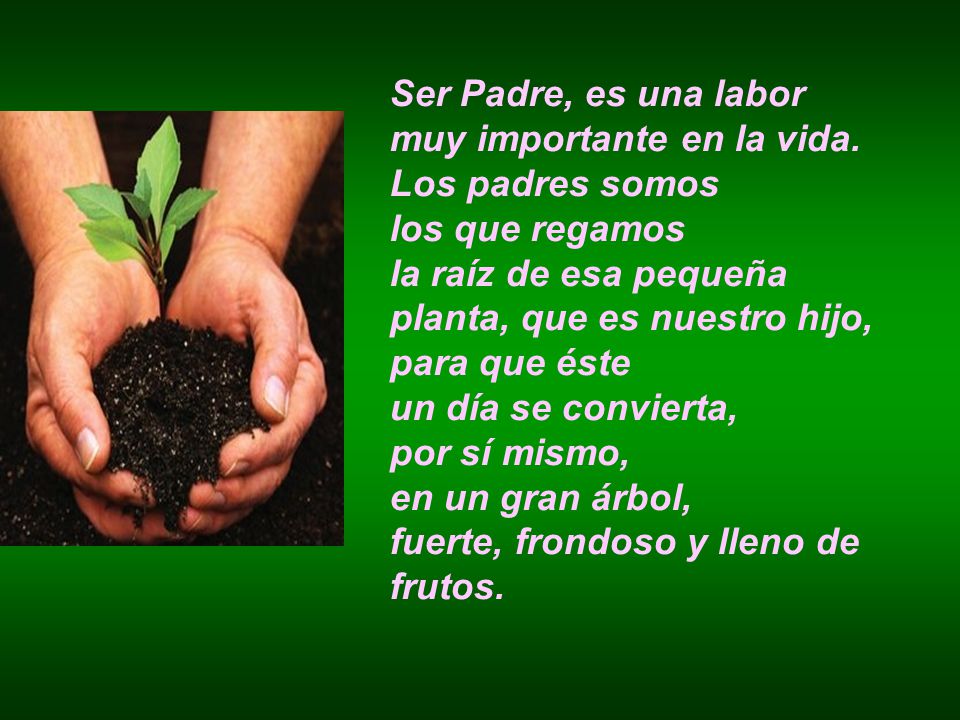 Ser Padre, es una labor muy importante en la vida. Los padres somos. los que regamos. la raíz de esa pequeña.