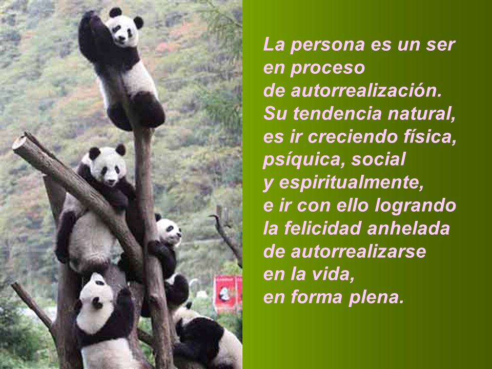 La persona es un ser en proceso. de autorrealización. Su tendencia natural, es ir creciendo física,