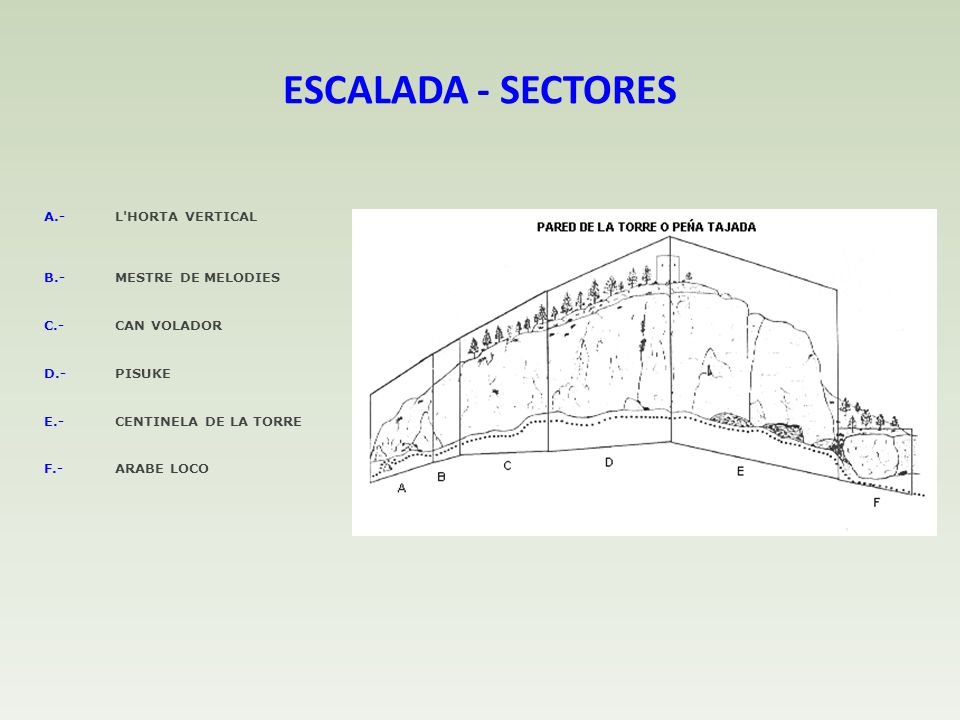 ESCALADA - SECTORES A.- L HORTA VERTICAL B.- MESTRE DE MELODIES C.-