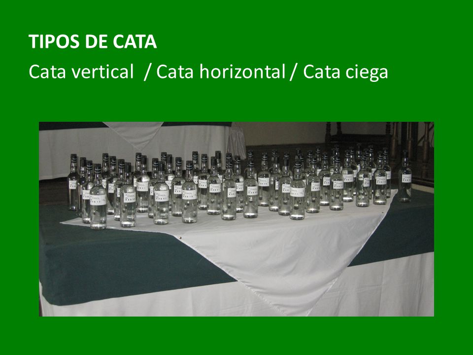 TIPOS DE CATA Cata vertical / Cata horizontal / Cata ciega