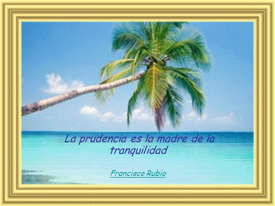 La prudencia es la madre de la tranquilidad Francisco Rubio