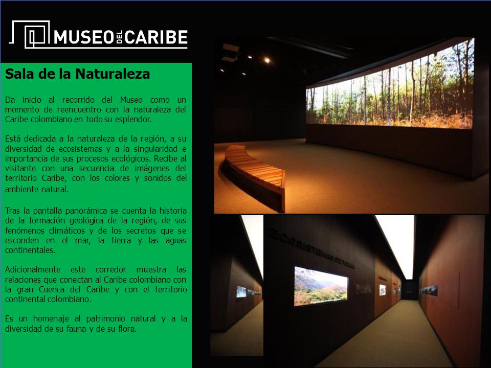 Sala de la Naturaleza Da inicio al recorrido del Museo como un momento de reencuentro con la naturaleza del Caribe colombiano en todo su esplendor.