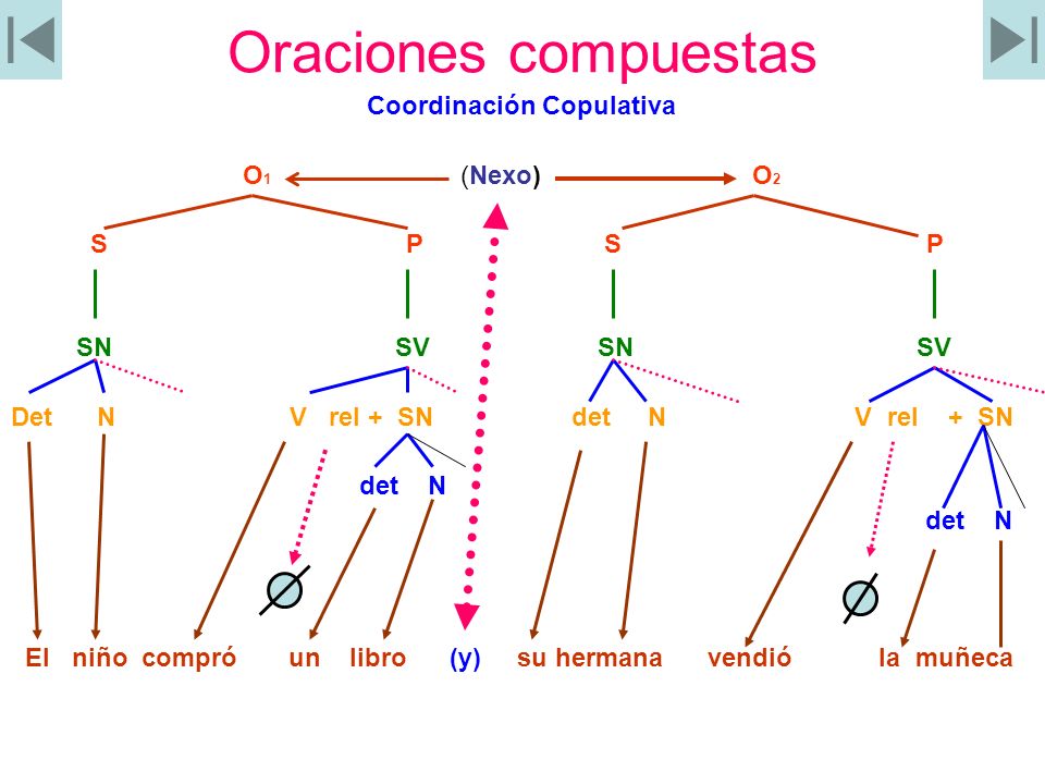 Oraciones compuestas Coordinación Copulativa O1 (Nexo) O2 S P S P