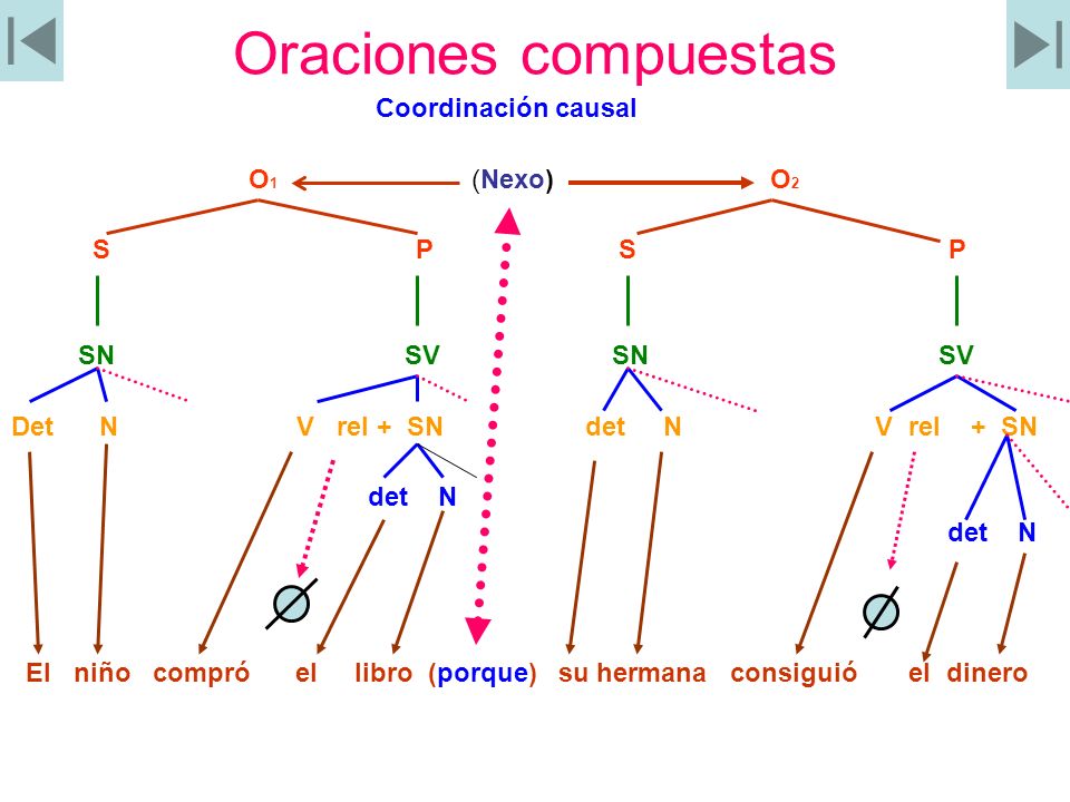 Oraciones compuestas Coordinación causal O1 (Nexo) O2 S P S P