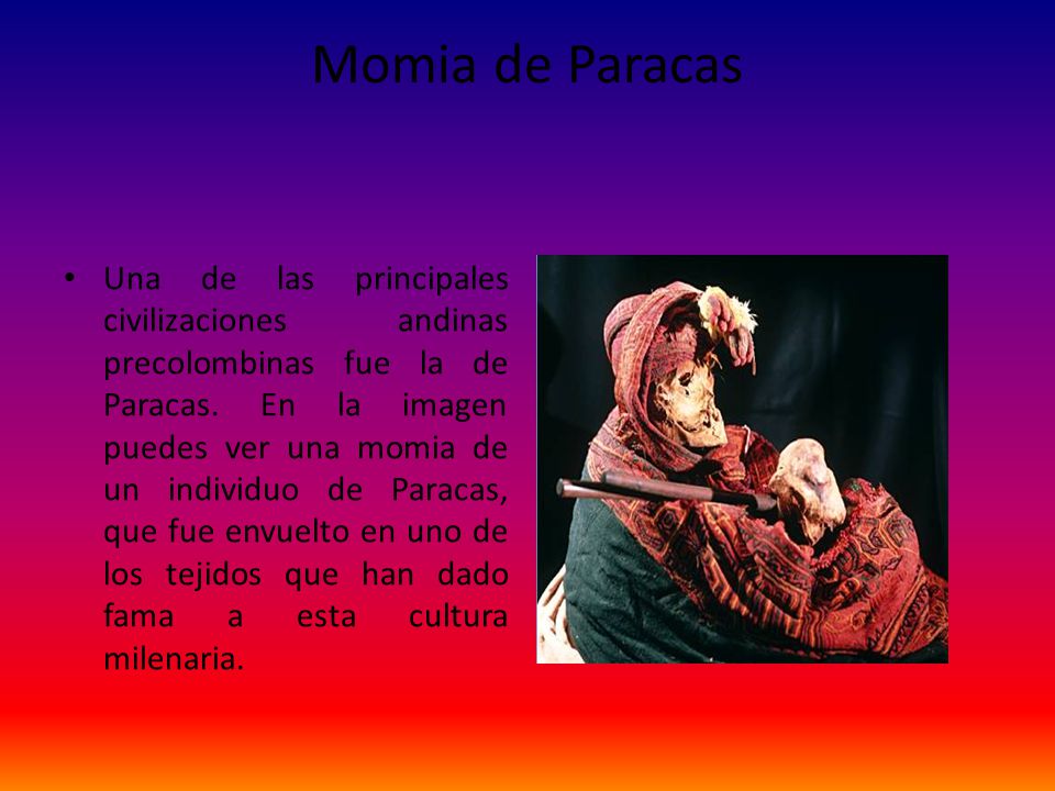 Momia de Paracas